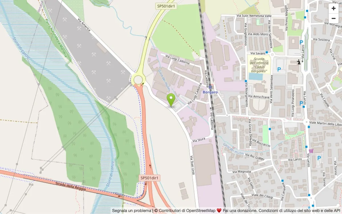Mappa della zona di Via America 14, Borgaro Torinese